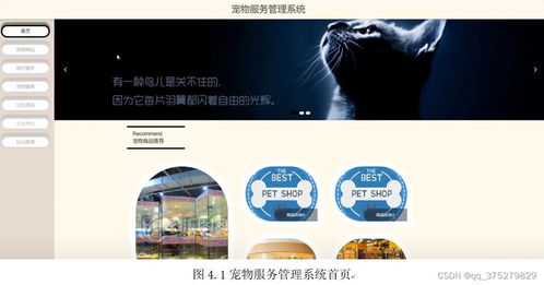 基于Spring Boot與Vue的寵物服務管理系統設計與實現